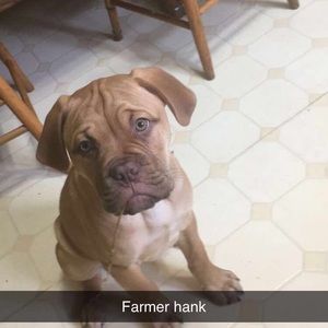 Meet your Posher, Spencer